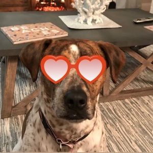 Meet your Posher, Joy